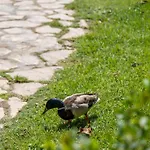 Διαμέρισμα Garden & -