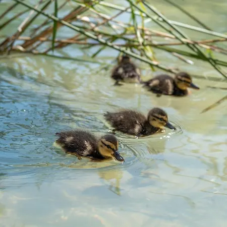 Garden & - Torremolinos
