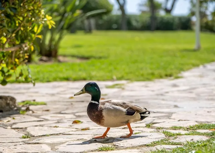 Garden & - Appartement