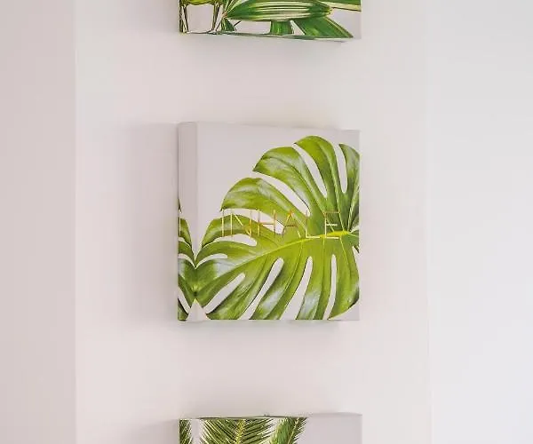 Garden & - Apartment *