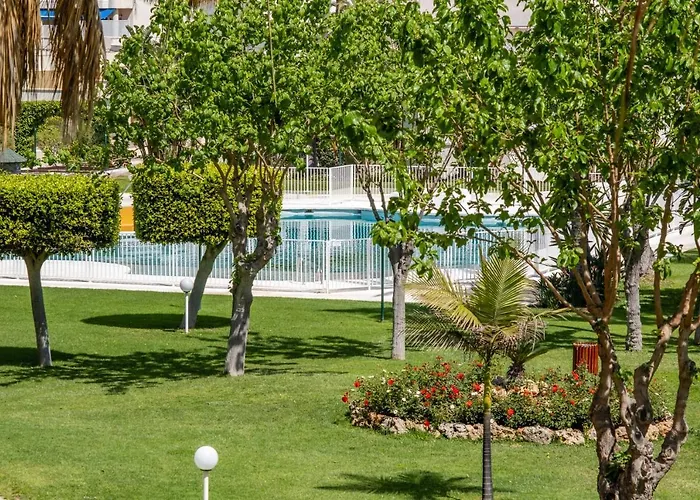 Apartment Garden & -