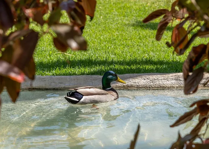 Apartmán Garden & - *