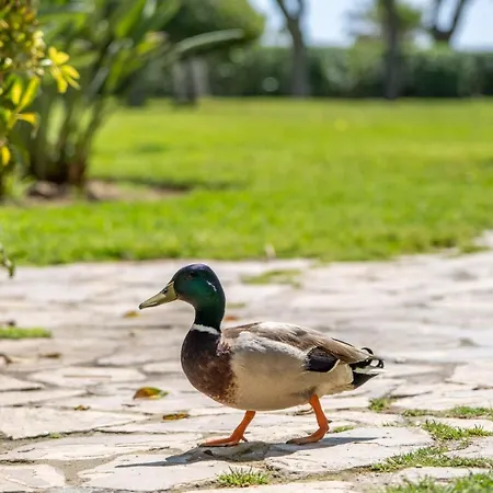 Garden & - Apartamento