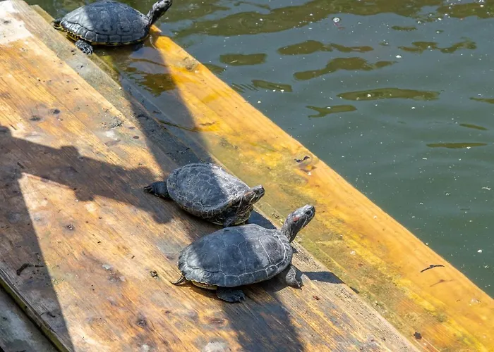 Apartamento Garden & - *