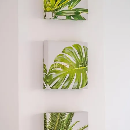 Garden & - Apartment *